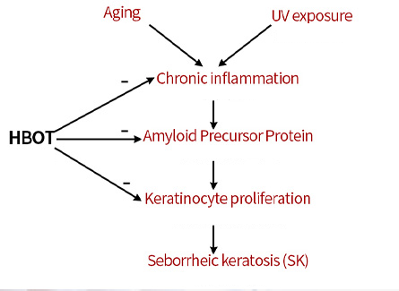 athletic recovery oxygen